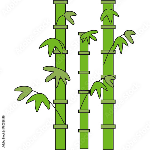 Illustration of tall green bamboo stalks with leaves on a transparent white background