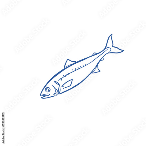 Simple Mackerel Sketch. Marine Fish Outline Icon. Hand Drawn Seafood Vector. Blue Line Art Mackerel. Ocean Fishing Element