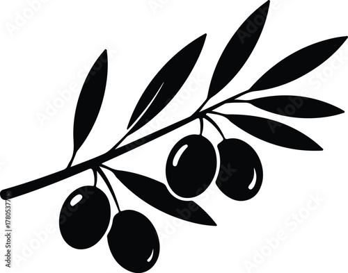 Silhouette vector olive branch with fruits isolated on white Illustrator