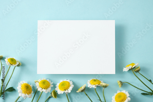 White paper card surrounded by chamomile flowers on blue background. Template for greeting card, wedding invitation, spa or organic product design. Copy space, top view, flat lay