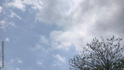 Partly Cloudy Sky with Green Tree Branches