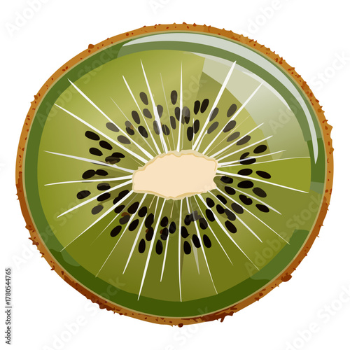 Realistic Kiwi Fruit with Detailed Texture