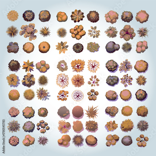 Ensemble de Silhouettes d'Arbres et d'Arbustes pour Plans de Jardins et Architecture Vus de Profil, Nature et Végétation Couleur d'Automne Vecteur