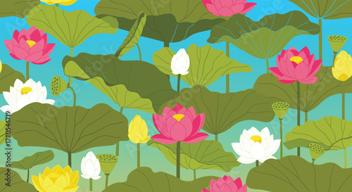 Illustration of a pond filled with pink, yellow, and white lotus flowers and large green lily pads against a blue background.