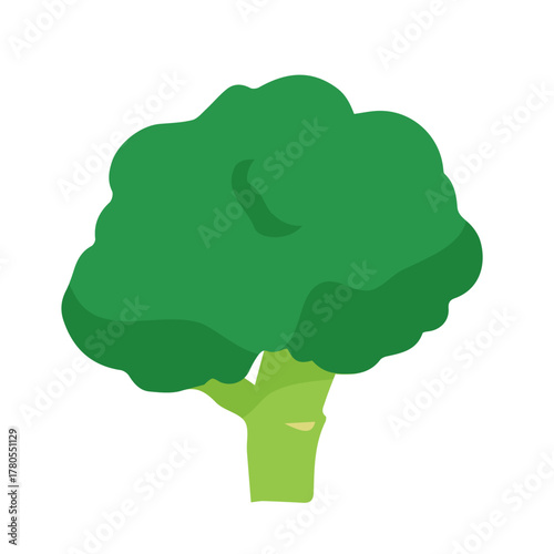 ブロッコリーイラスト手描きのかんたんシンプルな食品_輪郭なし