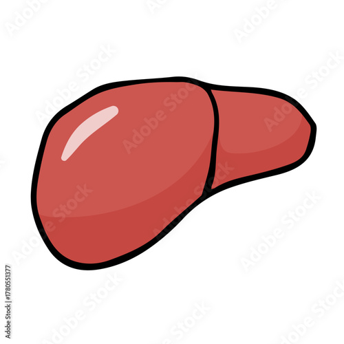 レバーイラスト手描きのかんたんシンプルな食品_輪郭線あり