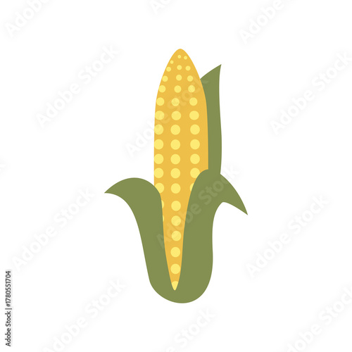 Fresh corn with husk. Harvested Fresh Corn Ears. Sweet Corn with Green Leaves. Organic Corn on the Cob with Husk.