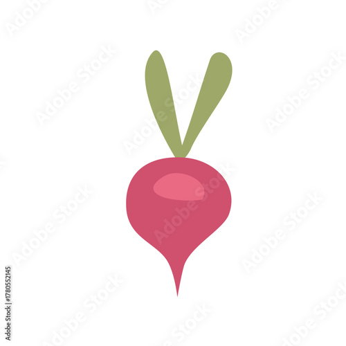 Cute hand drawn radish vegetable. Organic Red Radish with Leaves. Fresh Red Radish. Red Radish Vegetable Illustration