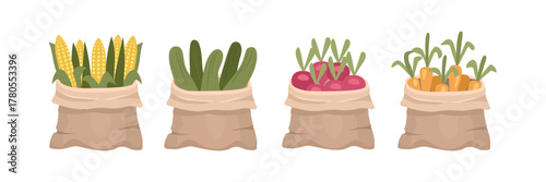 Vegetable burlap sack. Farmer market product. Agriculture product. Farmer harvest products.