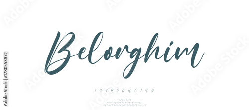 calligraphy alphabet capital lettering a to z font family