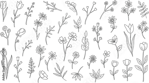 Mega Set of Small Hand Drawn Floral and Botanical Doodle Outline Icons Vector