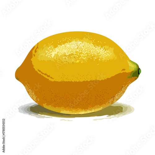 Fresh Whole Lemon Fruit Vector Illustration
