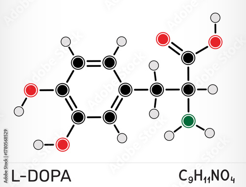 L-DOPA, levodopa molecule, biochemical precursor of dopamine and other catecholamine neurotransmitters, used in Parkinson’s disease therapy. Vector illustration