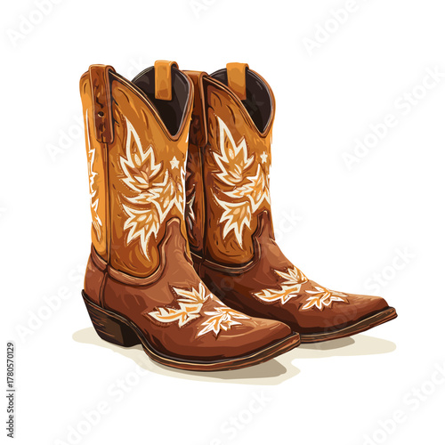 Vector illustration of a pair of cowboy boots