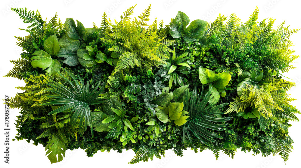 Fototapeta premium Varied Green Foliage Wall Covering