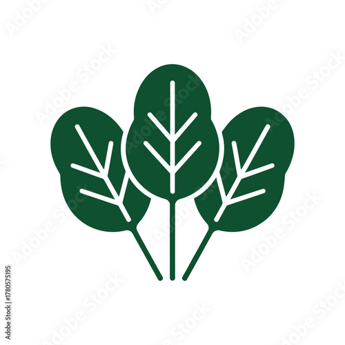 Vector illustration of fresh spinach leaves icon