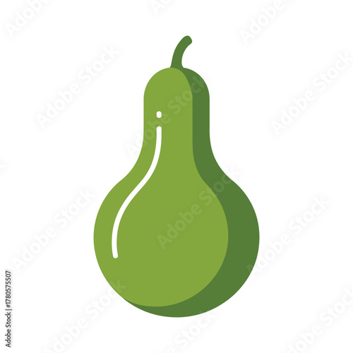 Vector illustration of green bottle gourd vegetable