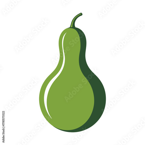 Vector illustration of green bottle gourd vegetable