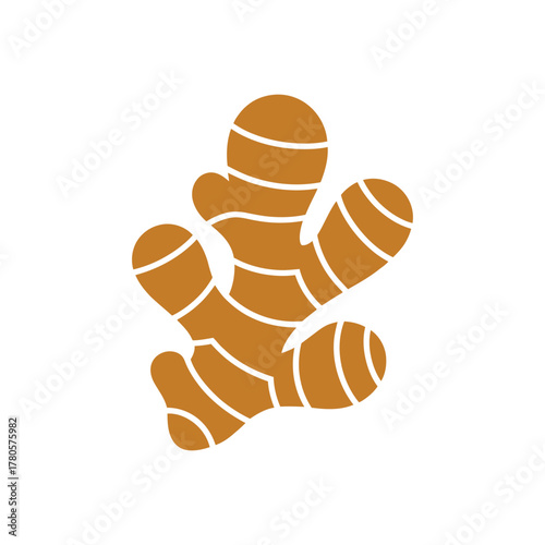 Vector illustration of fresh ginger root isolated on white