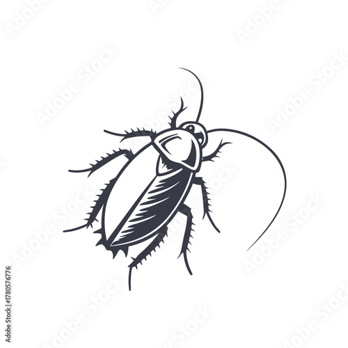 Vector of Cockroach On White Background isolated 