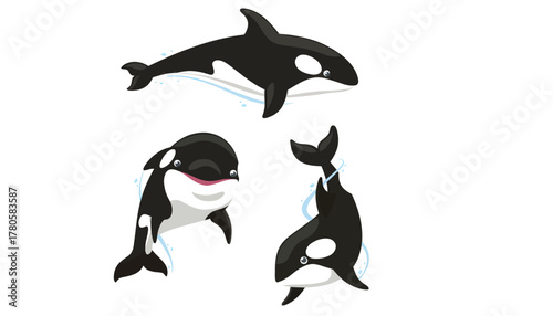 Illustration of three orcas swimming in different positions against a white background.