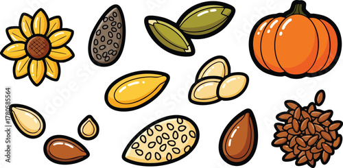 Collection of Various Healthy Seeds and Sunflower Including Pumpkin Seeds and Flax Seeds and Small Pumpkin