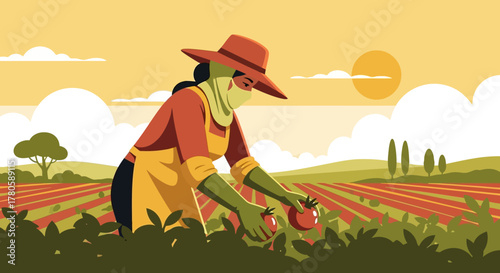 Tomato harvest under the sun, a worker in the field, fresh produce, agriculture, farming illustration, country lifestyle, rural landscape with tomatoes