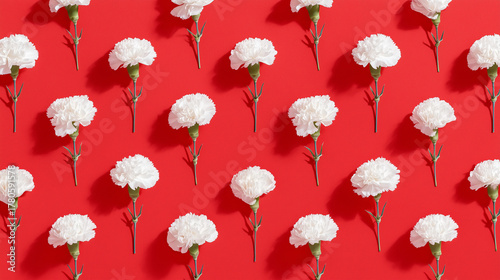 White Carnations Pattern on Red Background, Polish Floral Symbol, Independence Day Concept, National or Universal Floral Design