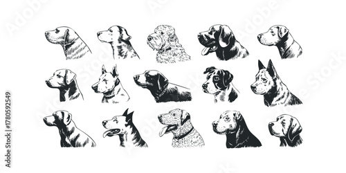 Collection of Dog Head Sketches in Black and White