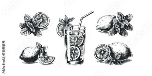 Refreshing Lemon Mint Beverage with Citrus Slices and Garnish