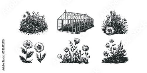 Gardening icons: greenhouse and plants