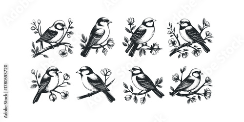 Eight Birds on Branches with Flowers Black and White Graphics