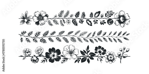 Floral botanical line dividers hand drawn