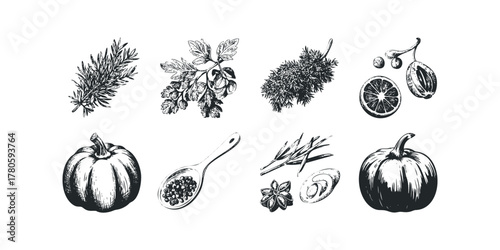 Collection of Botanical Ingredients and Autumn Produce