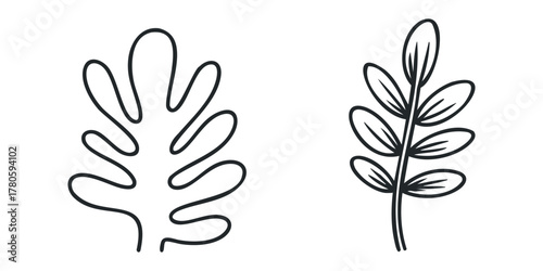 Line drawing of abstract wavy leaf and botanical stem