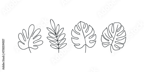 Botanical Line Art Collection of Four Leaf Shapes