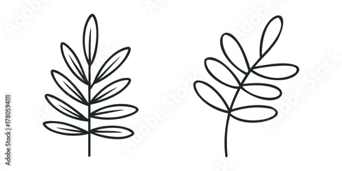Simple line art of two delicate botanical sprigs