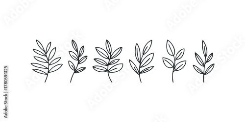 Simple Branch and Leaf Outline Collection