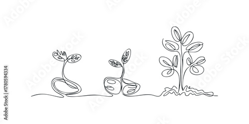 Line drawing of plant growth stages