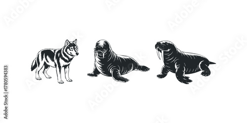Wolf and Two Walrus Animals Together