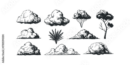 Collection of hand-drawn clouds and trees in black and white