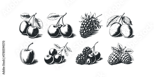 Set of Cherries, Berries, and Plums with Leaves