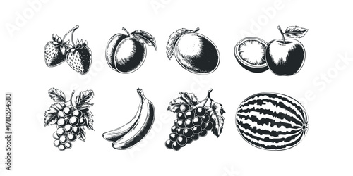 Group of Fresh Fruits in Sketch Style
