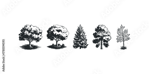 Five Black and White Silhouette Tree Illustrations