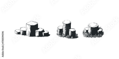 Arrangement of cut tree stumps on white background
