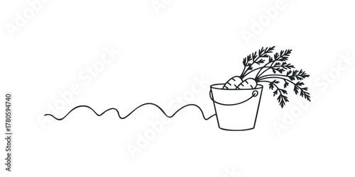 Bucket of fresh carrots with green tops and vine