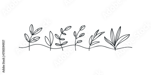 Line drawing of minimalist plant stems with leaves