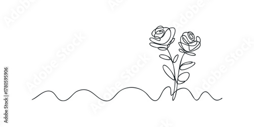 Two Roses Botanical Line Art Minimalist Drawing