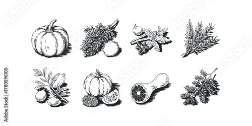 Collection of Hand Drawn Seasonal Harvest and Spice Elements