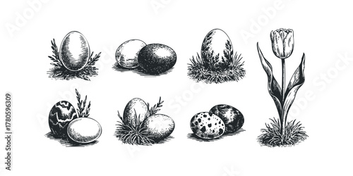 Set of sketched Easter eggs and tulip flower
